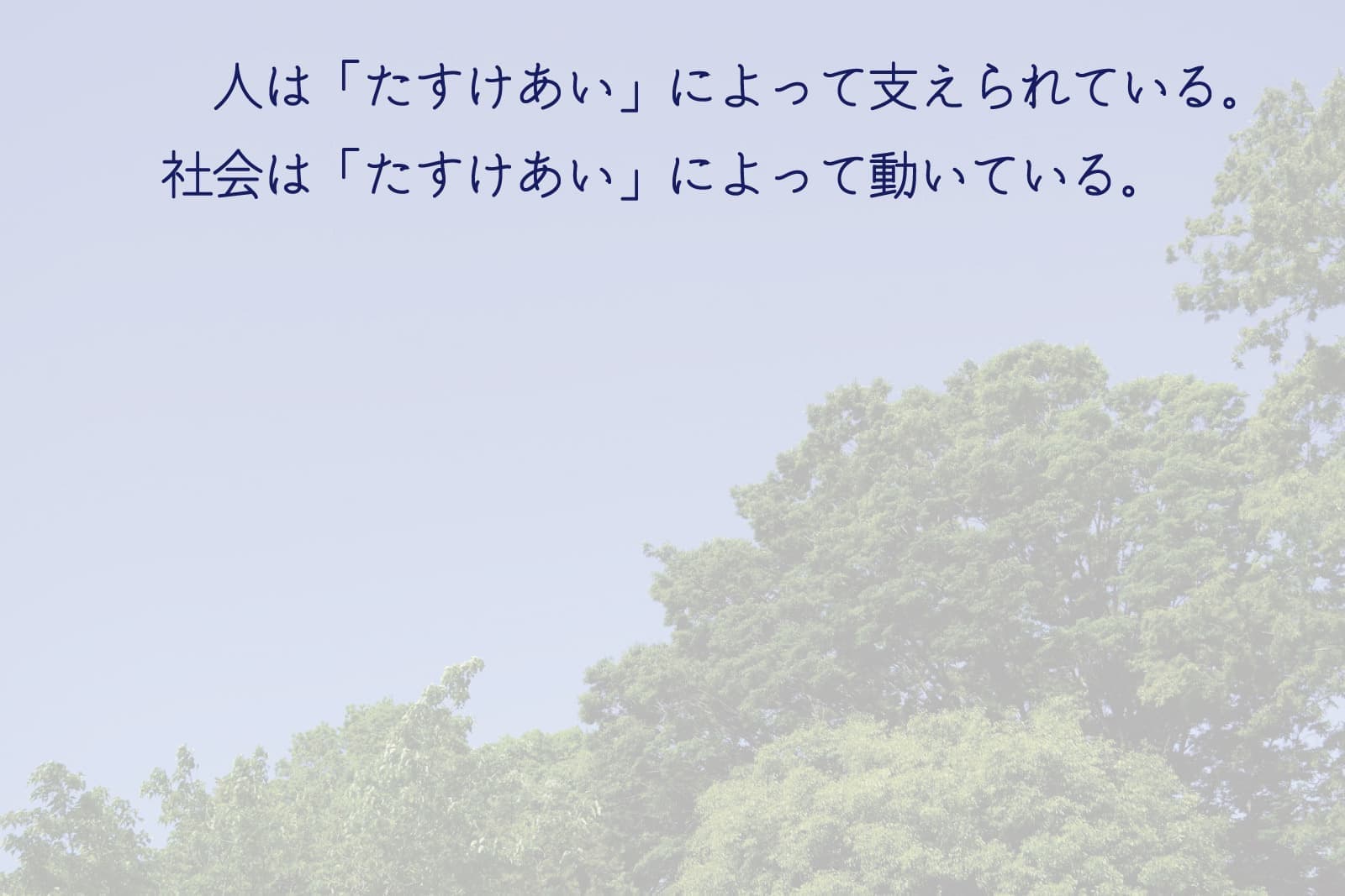 img20240406141218054847.jpg
